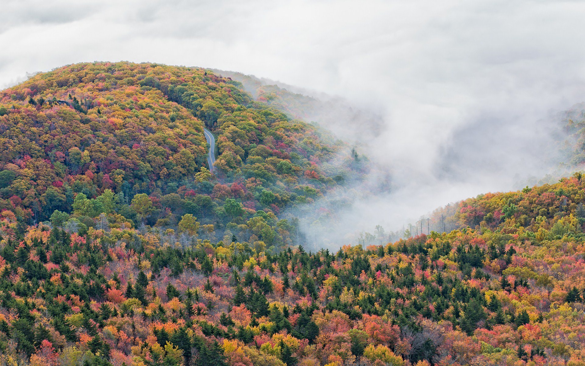 nature, Mountain, Forest, Landscape, Fog, Ultrahd, 4k, Wallpaper Wallpaper