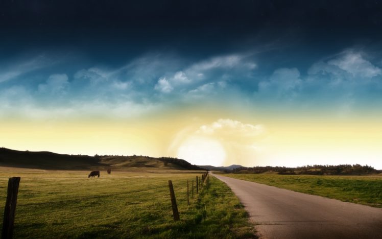 landscapes, Animals, Grass, Roads HD Wallpaper Desktop Background