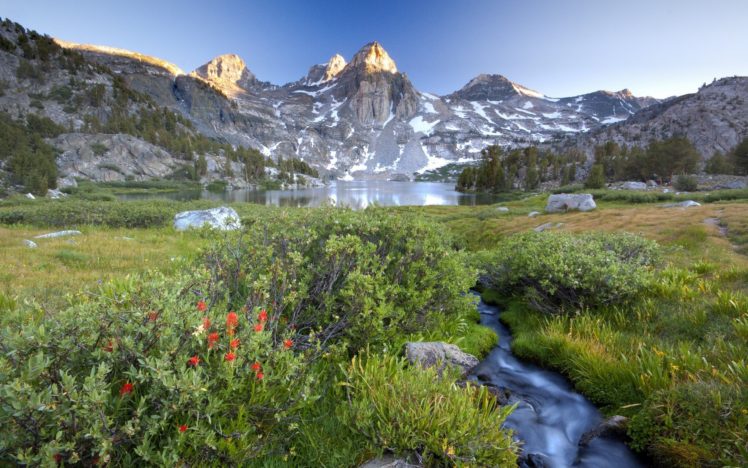 light, Mountains, Flowers, Stones, Peaks, Streams, Brook, Tarn, Bushes, Alpine, Highterrain HD Wallpaper Desktop Background