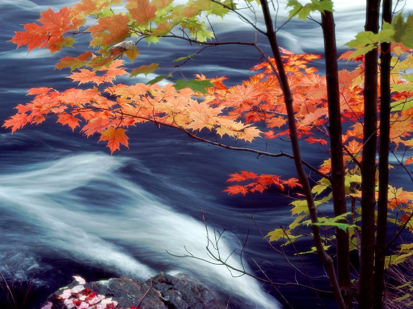 canada Wallpaper