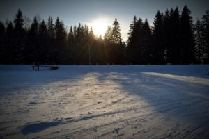landscapes, Snow, Sun, Trees