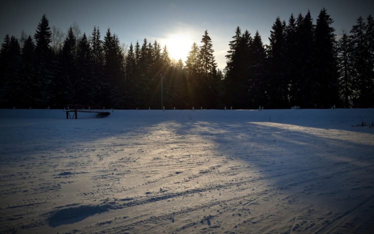 landscapes, Snow, Sun, Trees HD Wallpaper Desktop Background