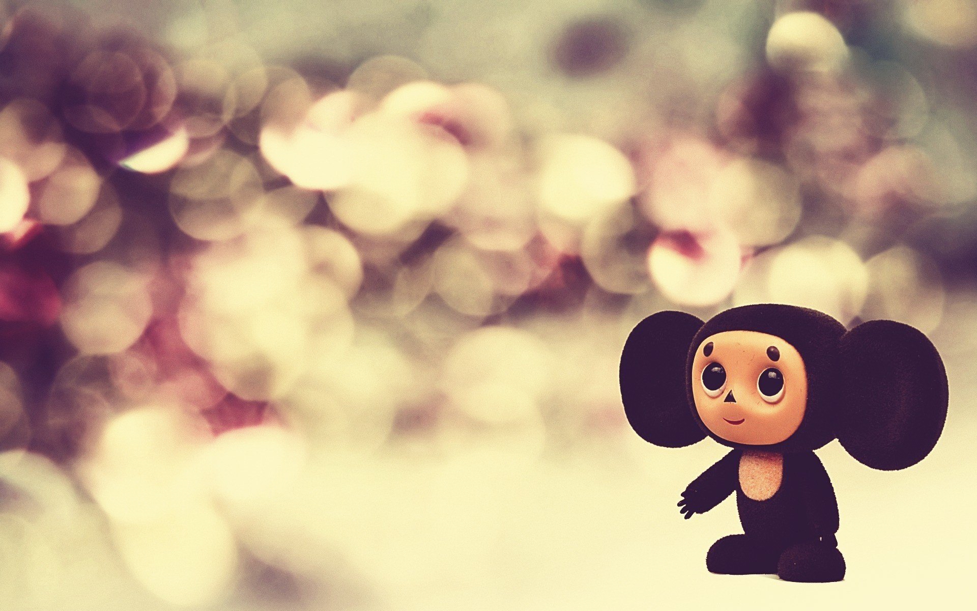 macro, Cheburashka Wallpaper