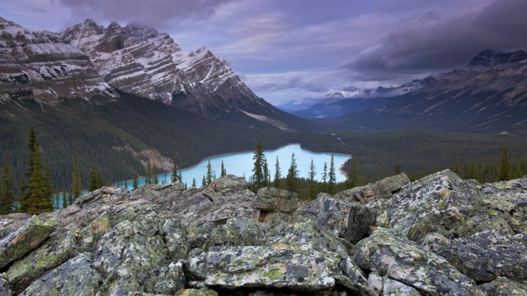 alberta, Bows, Banff, National, Park, National, Park HD Wallpaper Desktop Background