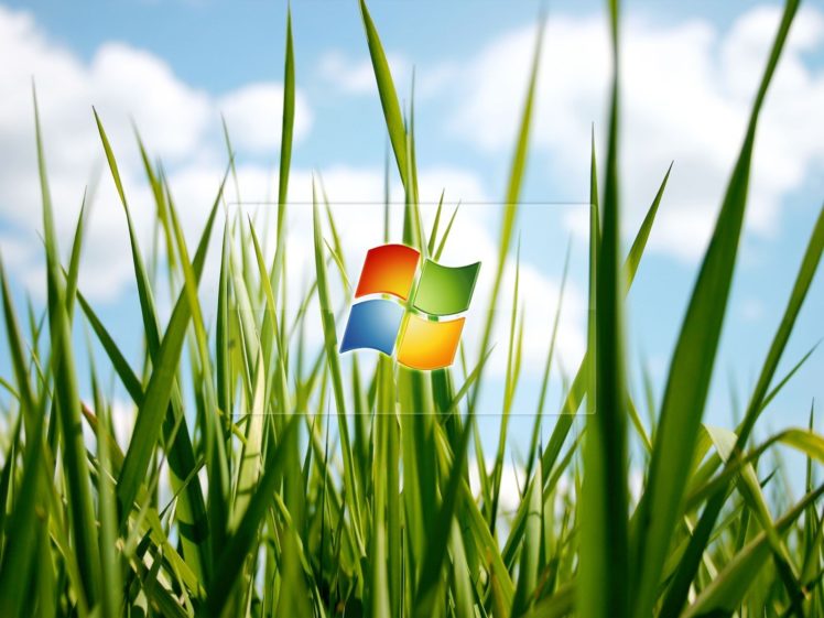 microsoft, Windows, Logos HD Wallpaper Desktop Background