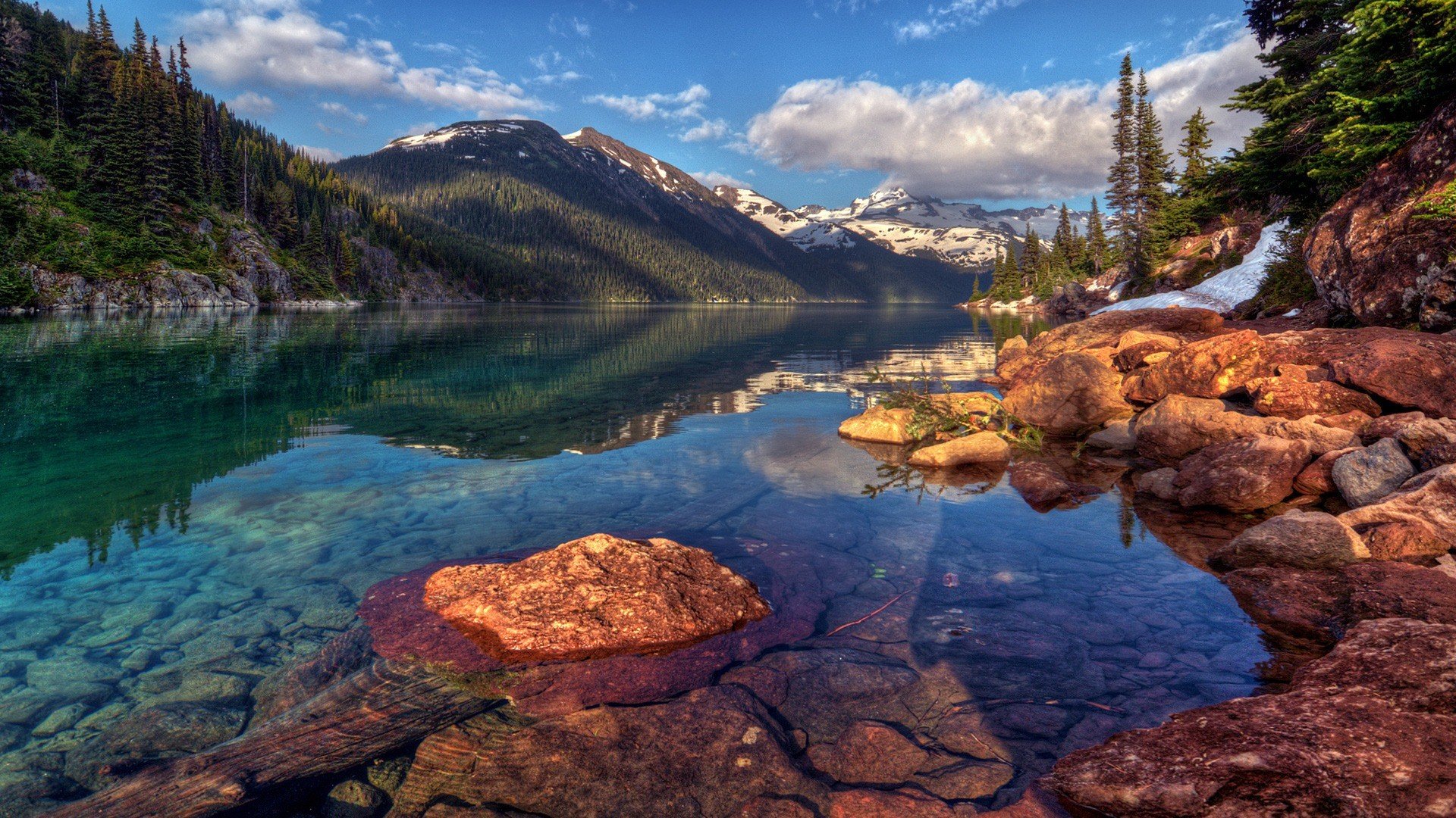 nature, Forests Wallpaper