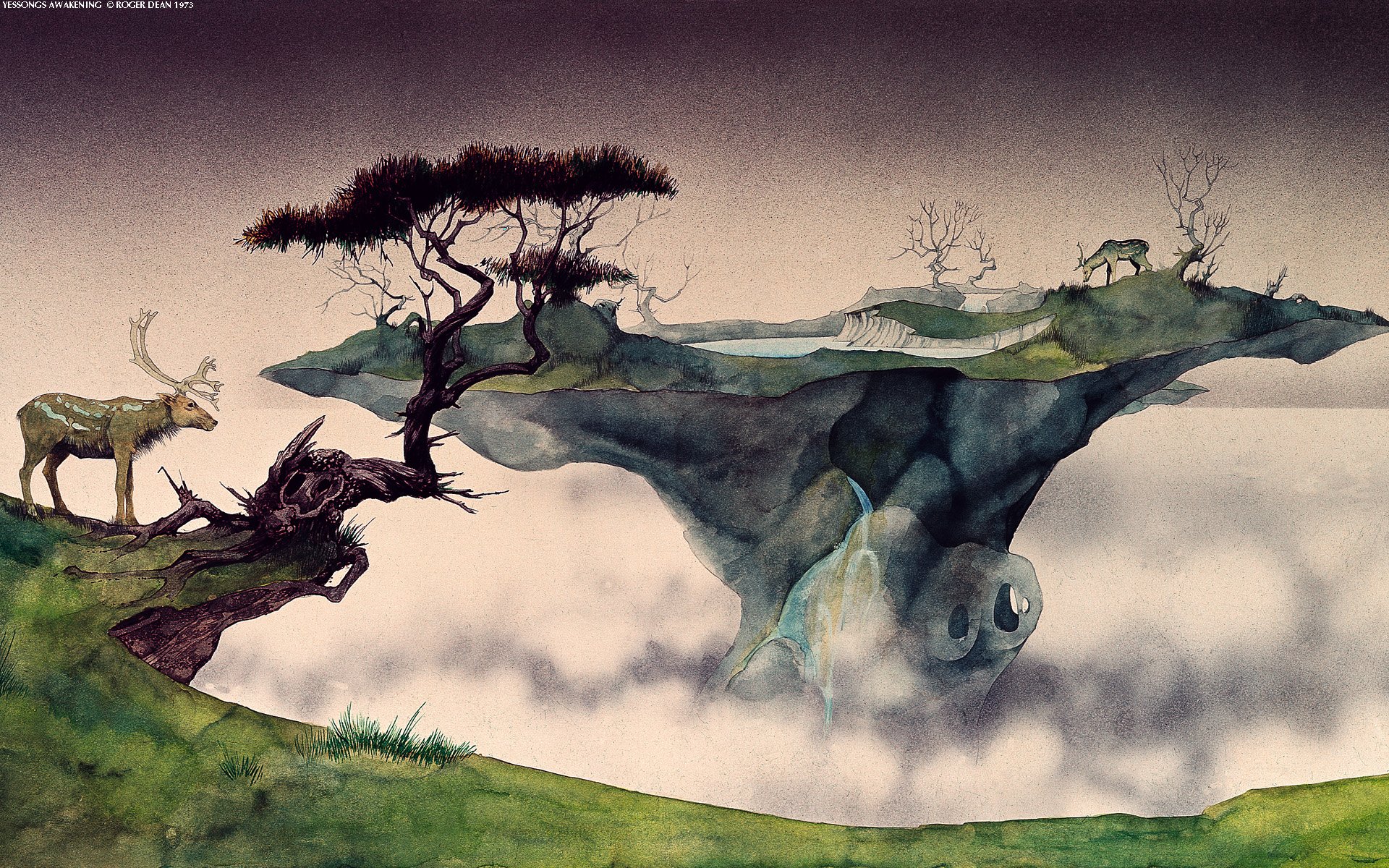 nature, Deer, Roger, Dean Wallpaper