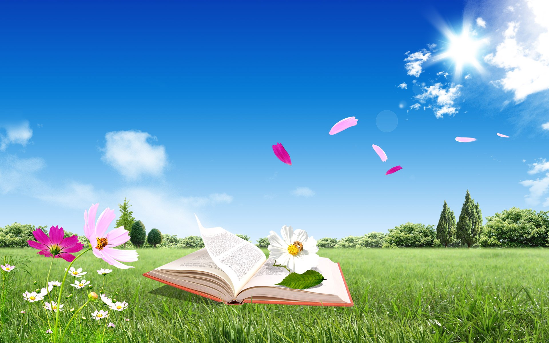 flowers, Books, Skyscapes Wallpaper