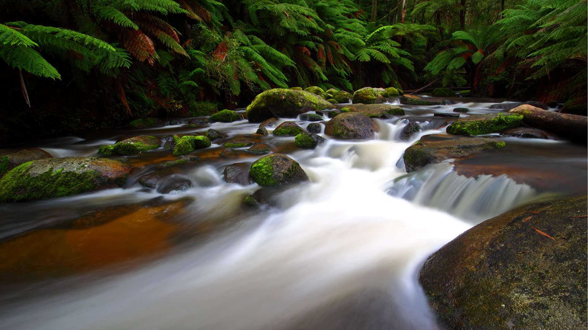 landscapes, Nature, Waterfalls, Rivers, Trees, Forest, Timelapse Wallpaper