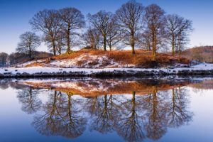 landscapes, Nature, Trees, Reflections