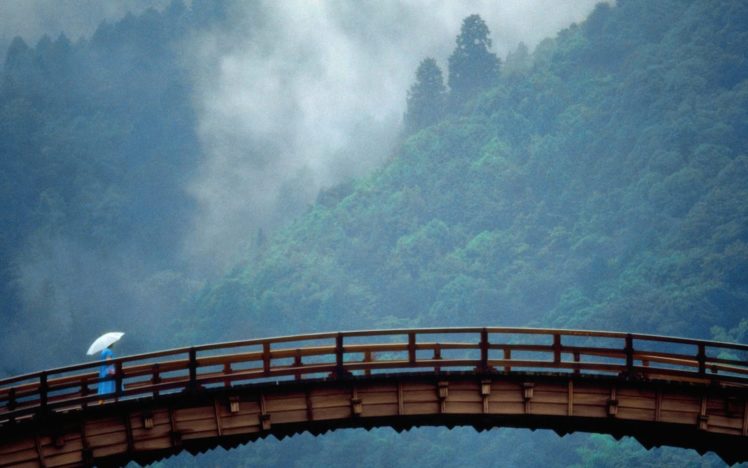 landscapes, Trees, Forests, Fog, Bridges HD Wallpaper Desktop Background