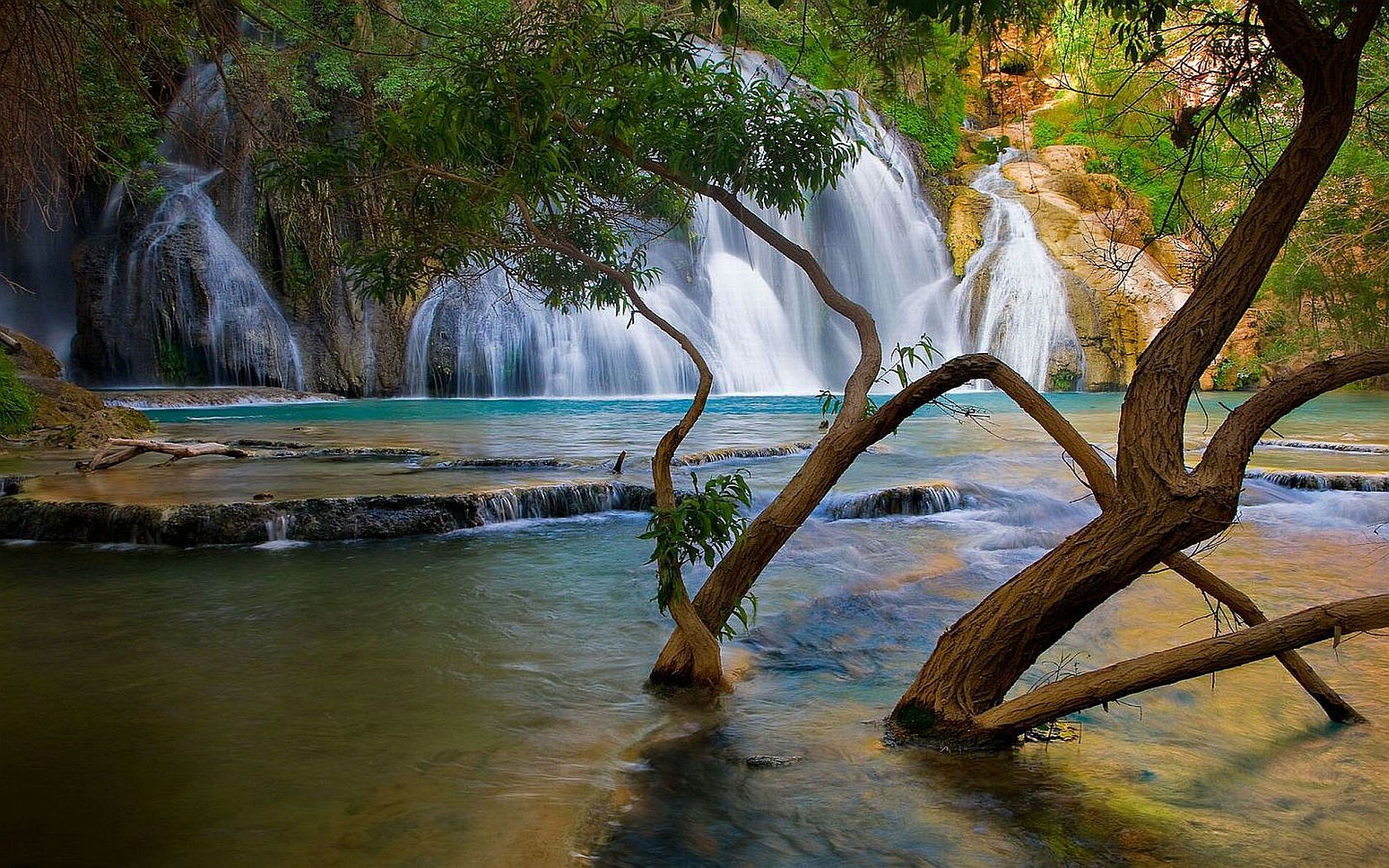 nature Wallpaper