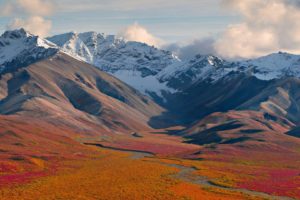nature, Alaska, Running, National, Park