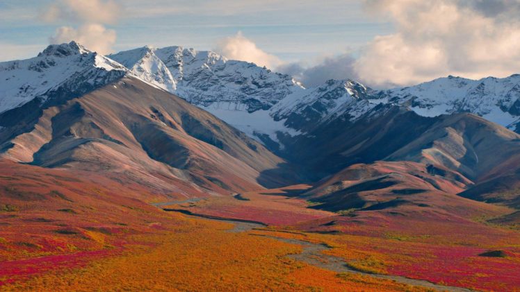 nature, Alaska, Running, National, Park HD Wallpaper Desktop Background