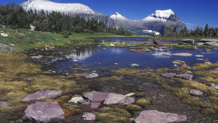 landscapes, Wall, Garden, Ponds, National, Park, Montana, Glacier, National, Park HD Wallpaper Desktop Background