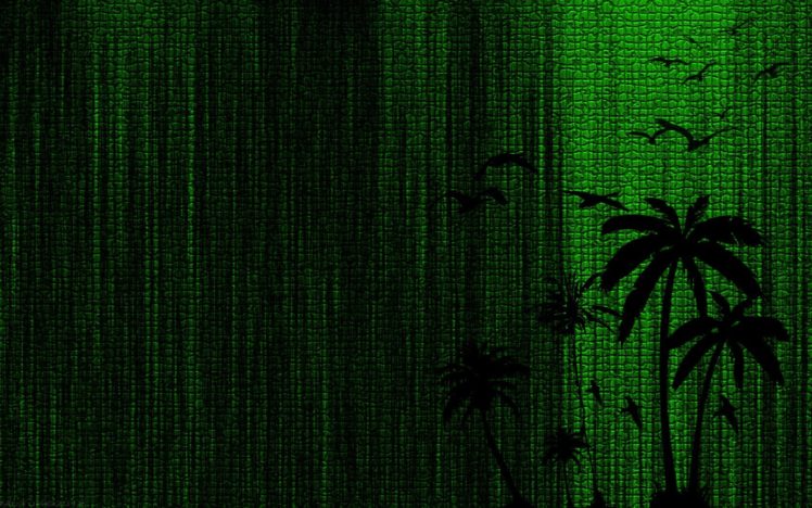 green, Birds, Palm, Trees, Bay, Mr, Tuk, New, Palm, Bay, Green, Green, Leather HD Wallpaper Desktop Background