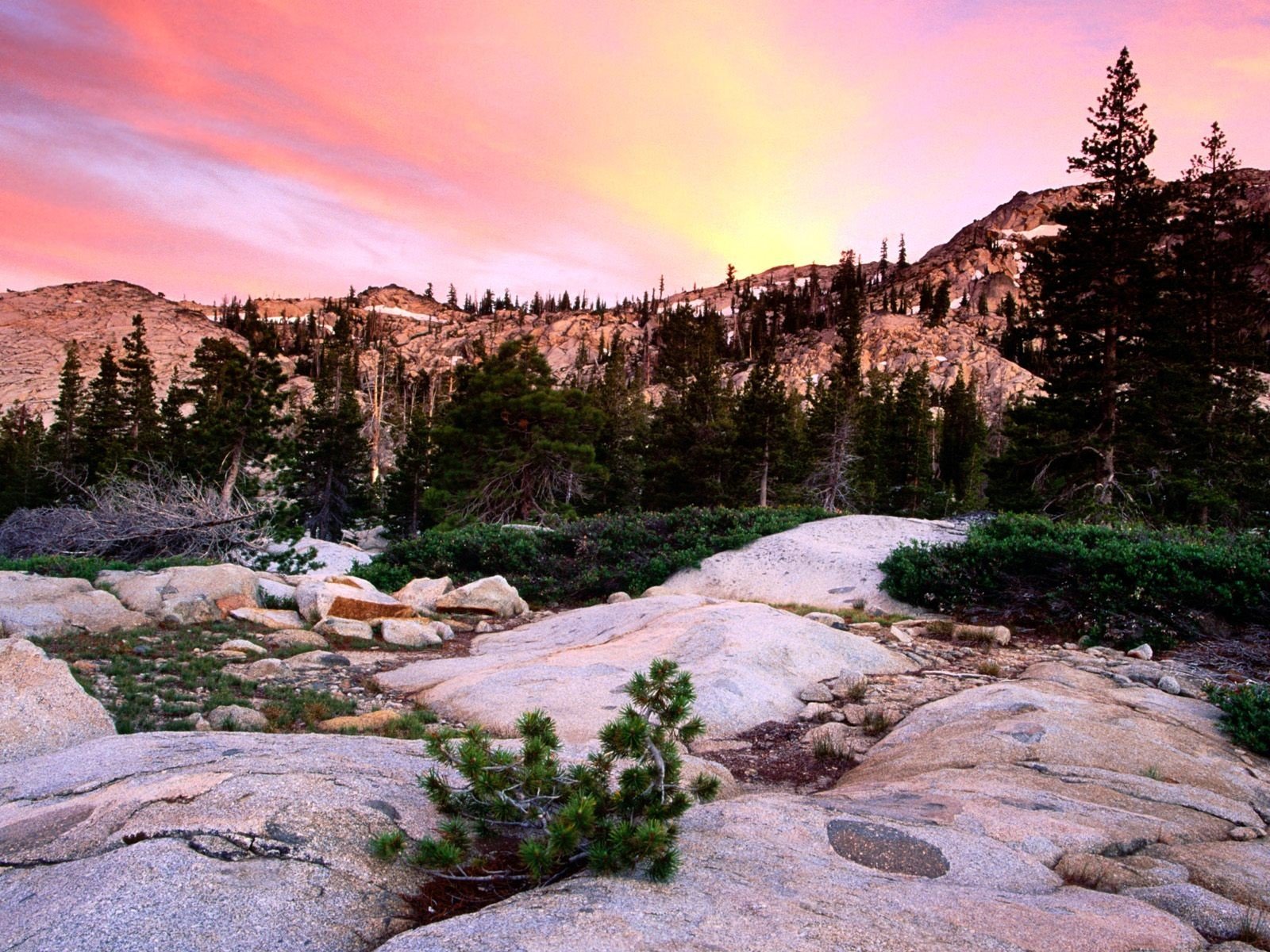 nature Wallpaper