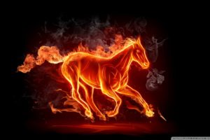 horse, Fire wallpaper 1920×1200