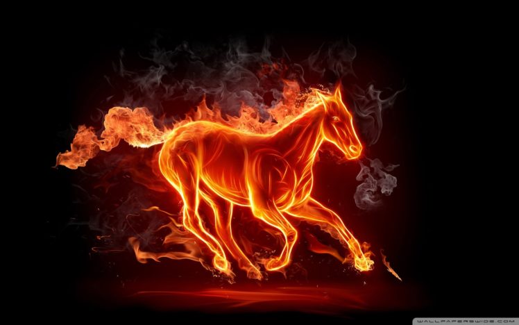 horse, Fire wallpaper 1920×1200 HD Wallpaper Desktop Background