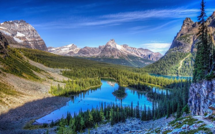 Với chất lượng hình ảnh Ultra HD 4k, bạn sẽ trải nghiệm được tuyệt phẩm thiên nhiên đầy sắc màu - những rừng xanh, những ngọn núi cao, sương mù bao quanh hồ nước. Chúng ta có thể nhìn thấy từng chi tiết nhỏ nhất như sợi cỏ, những nhánh cây và những tiếng suối reo vui tươi.