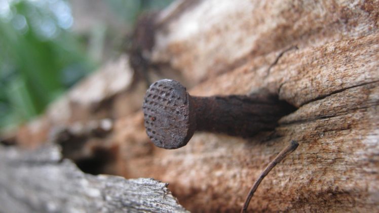 nature, Wood, Nails, Macro HD Wallpaper Desktop Background