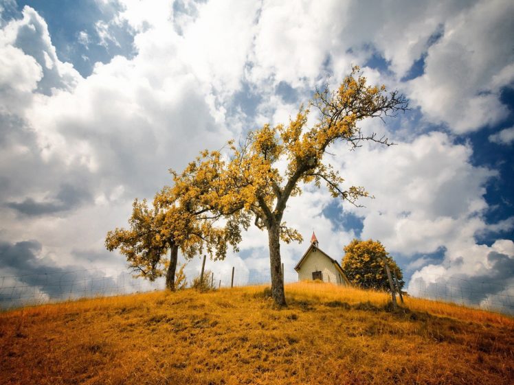 landscapes, Nature, Trees HD Wallpaper Desktop Background