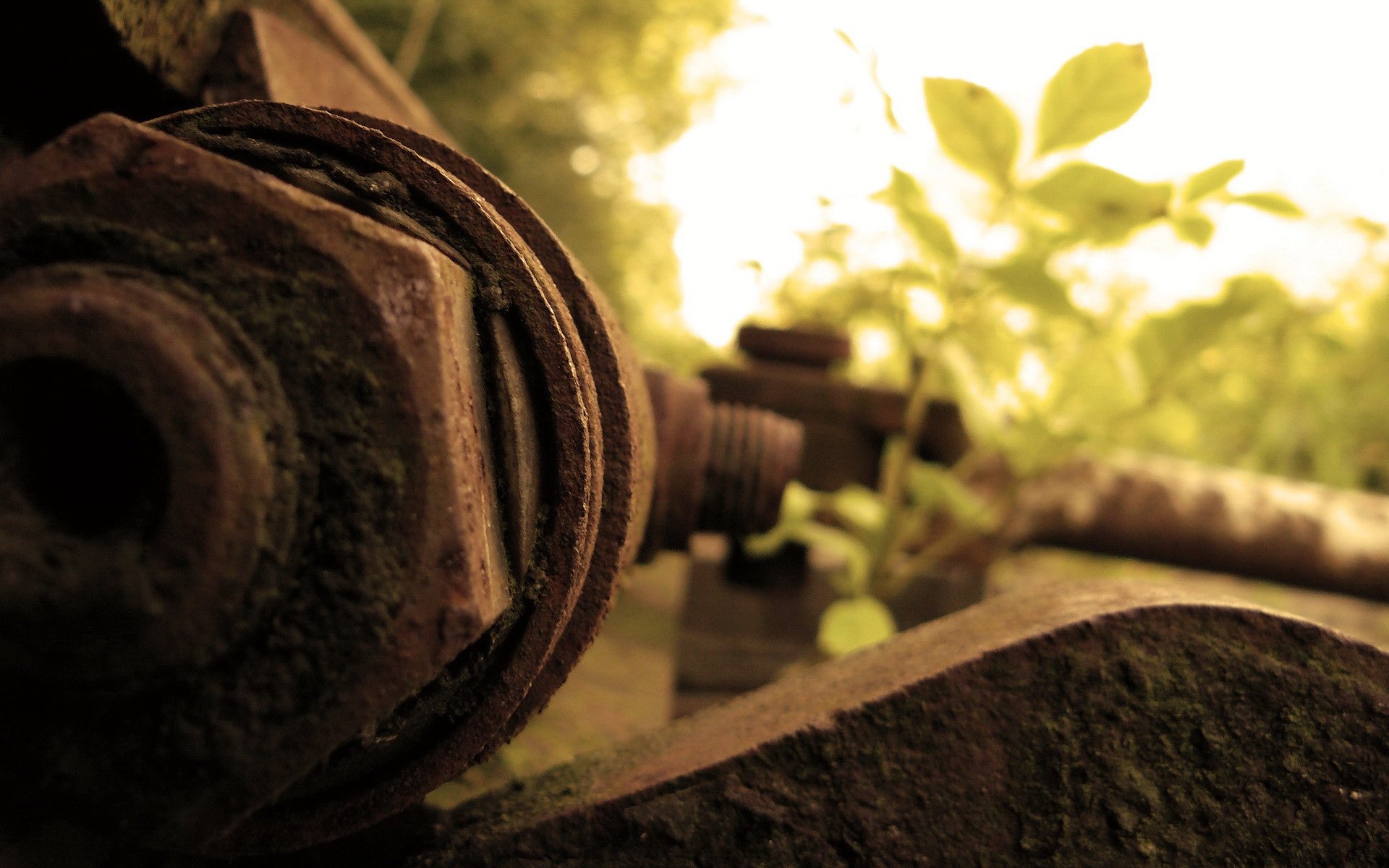 leaves, Rusted, Screw Wallpaper