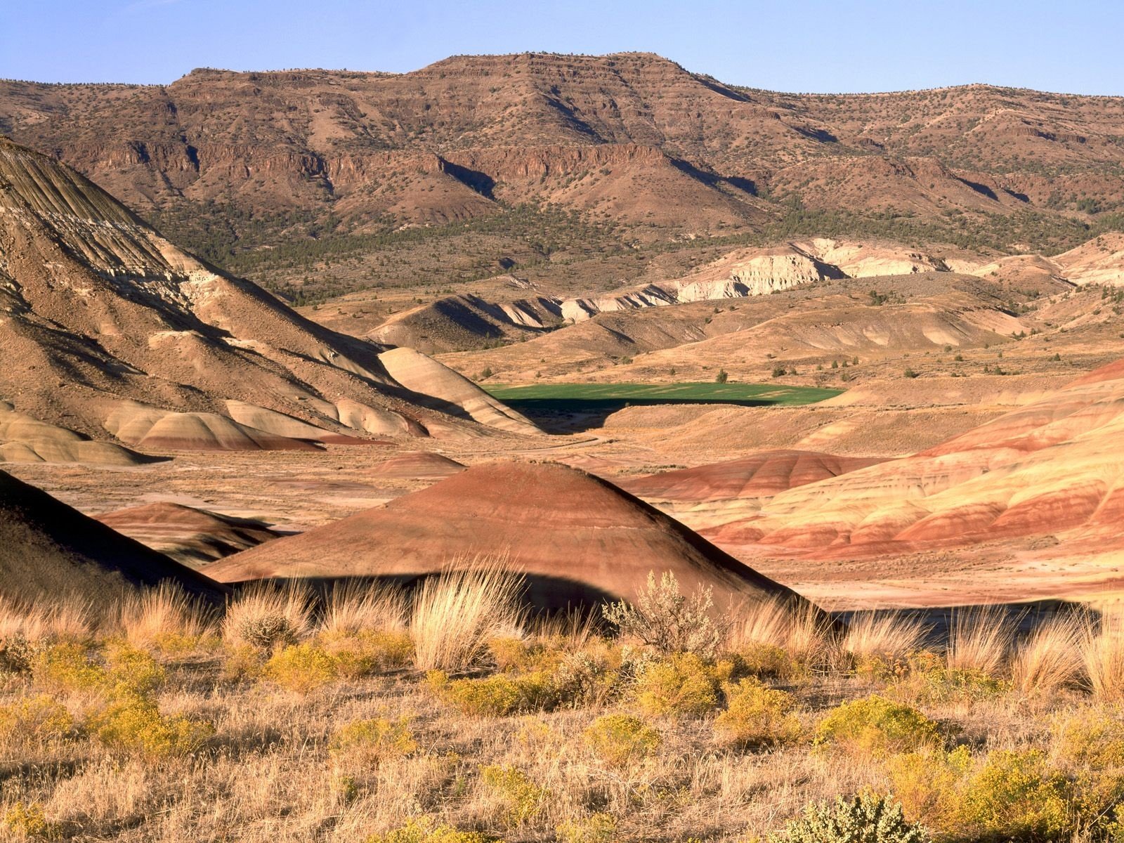beds, Hills, Painted, National, Fossil Wallpaper