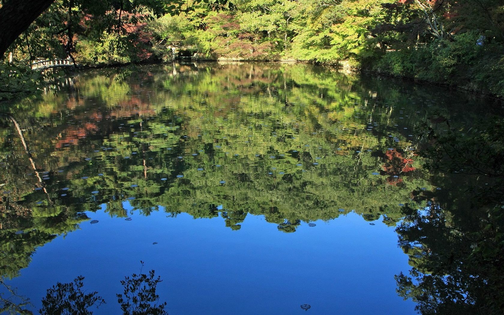 landscapes, Nature Wallpaper