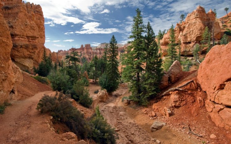 landscapes, Nature, Trees, Rocks, Canyon HD Wallpaper Desktop Background