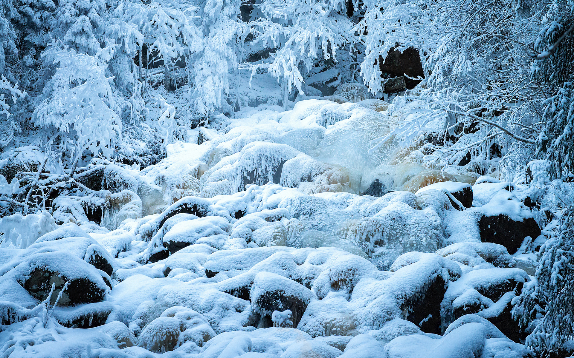 landscapes, Nature, Winter, Snow, Seasons, Rivers, Frost, White, Ice Wallpaper