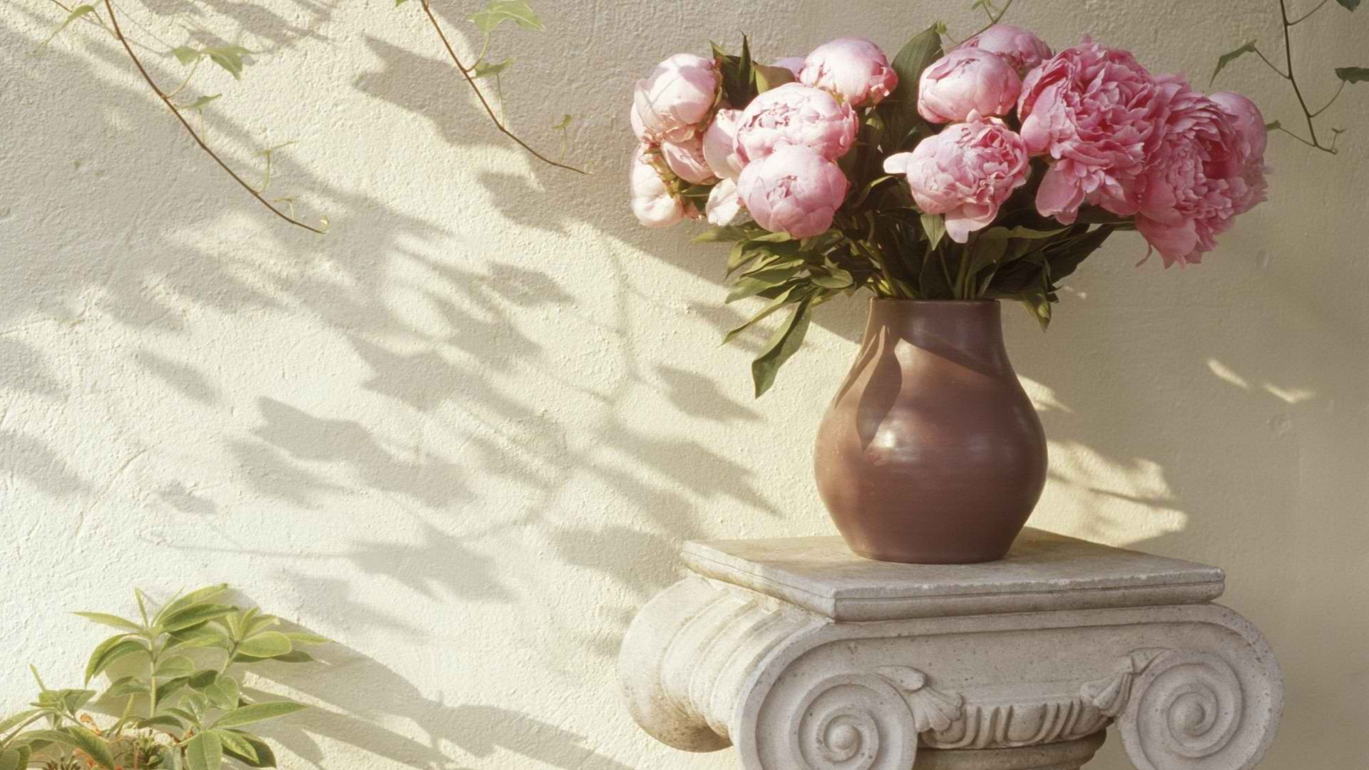 flowers Wallpaper