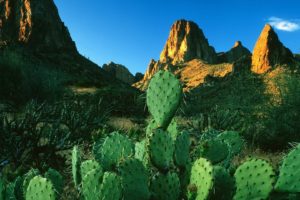 mountains, Landscapes, Rocks, Cactus