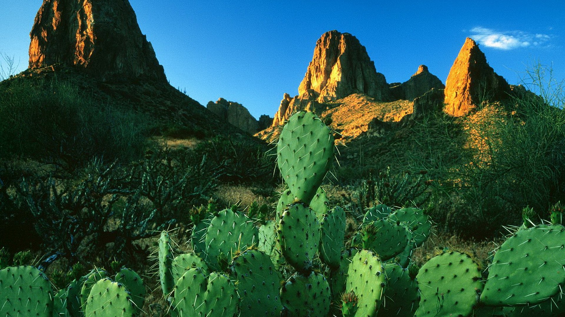 mountains, Landscapes, Rocks, Cactus Wallpaper