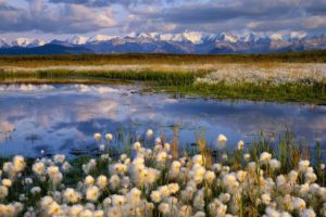 landscapes, Nature, Alaska, National, Park