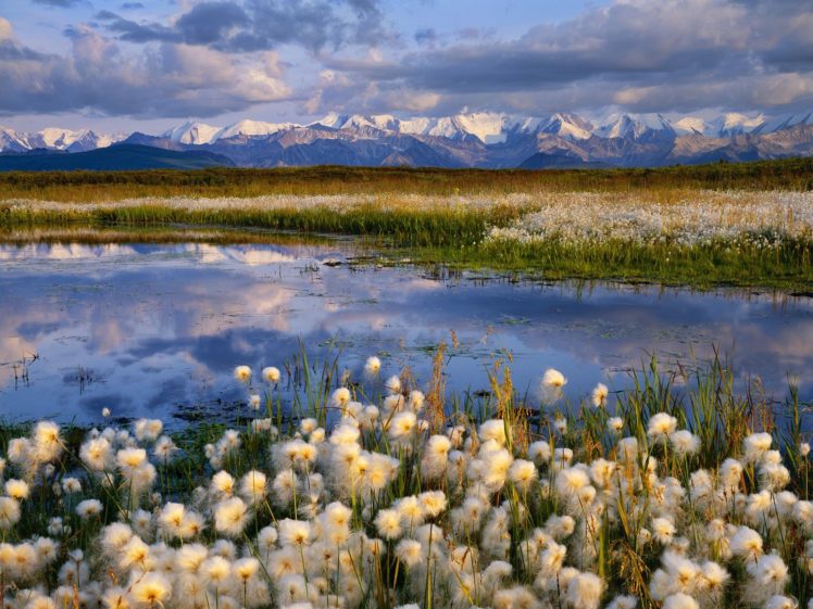 landscapes, Nature, Alaska, National, Park HD Wallpaper Desktop Background