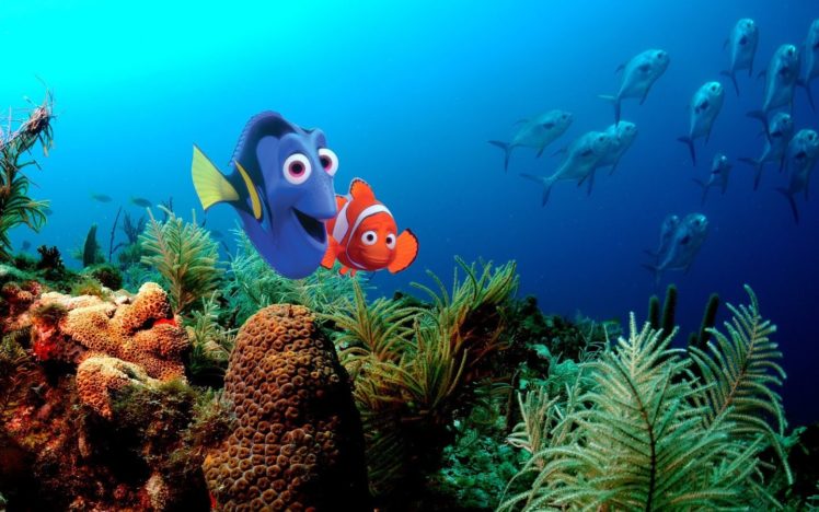 pixar, Disney, Company, Finding, Nemo, Animation HD Wallpaper Desktop Background