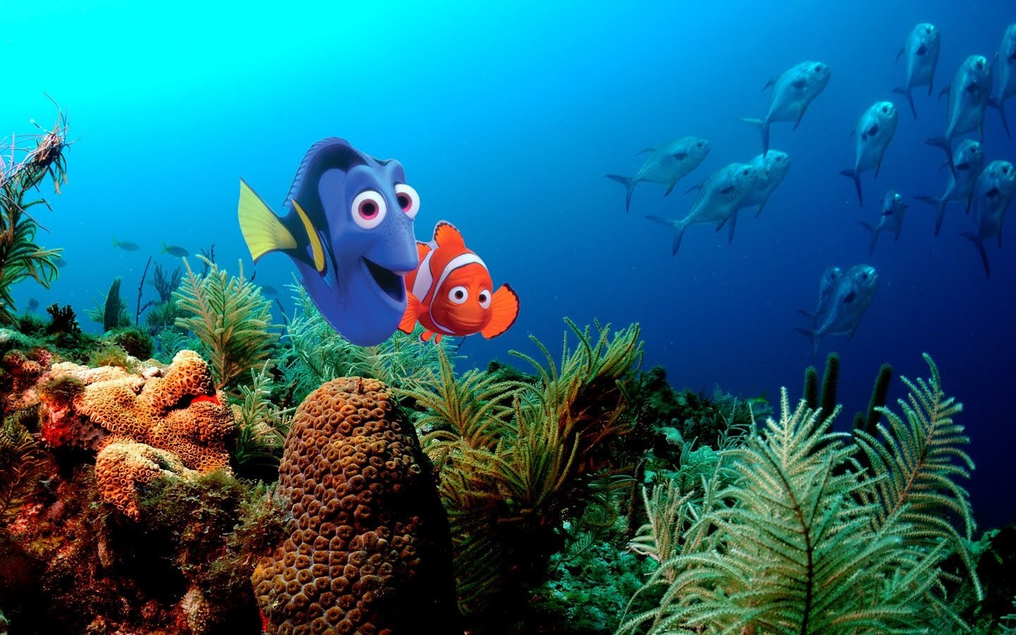 pixar, Disney, Company, Finding, Nemo, Animation Wallpaper