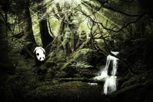 landscapes, Nature, Trees, Forest, Rivers, Jungle, Bear, Panda, Manipulation