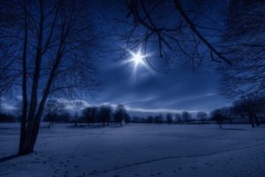 landscapes, Nature, Winter, Snow, Trees, Night, White, Moonlight, Footprint