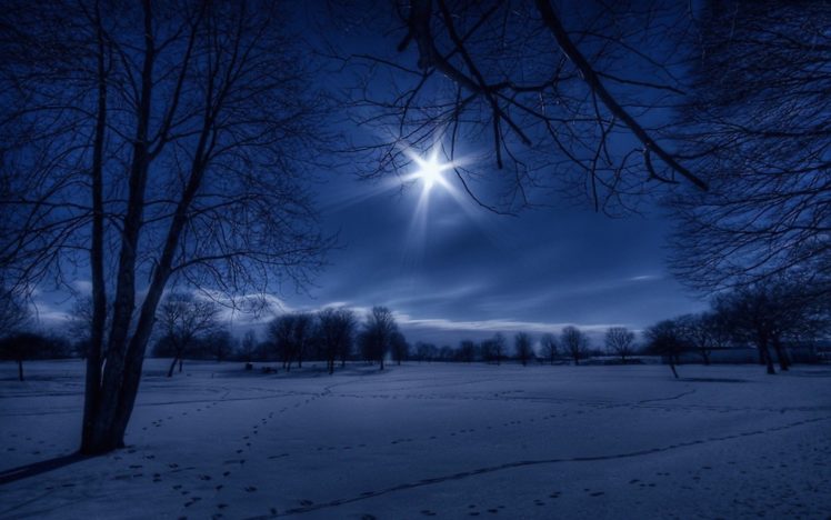 landscapes, Nature, Winter, Snow, Trees, Night, White, Moonlight, Footprint HD Wallpaper Desktop Background