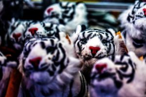aimals, Cats, Tiger, Cute, Toys, Stuffed, Contrast, Photography, Children