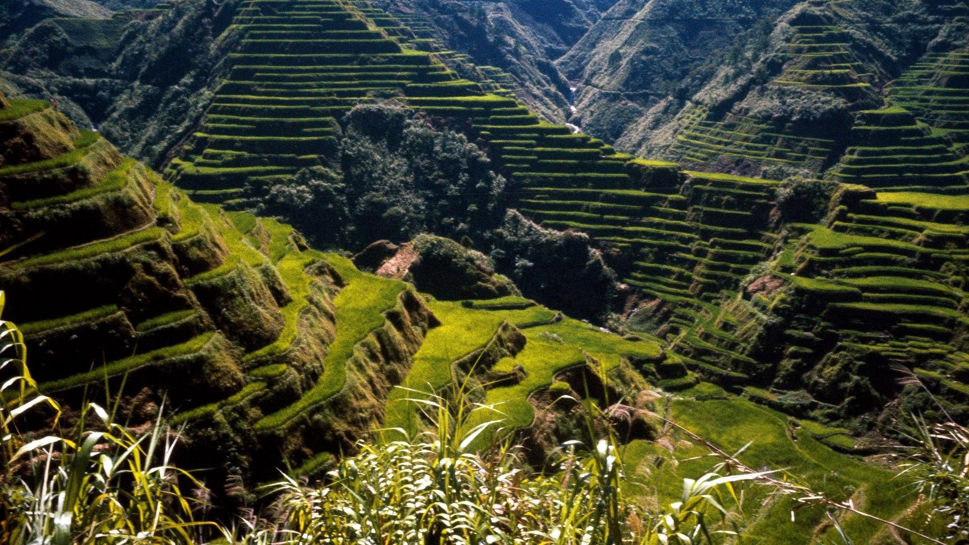 rice, Philippines, Asia, Ancient, Terraces Wallpaper