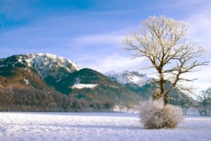 mountains, Landscapes, Nature, Winter, Snow, Trees, Forests, Skyscapes