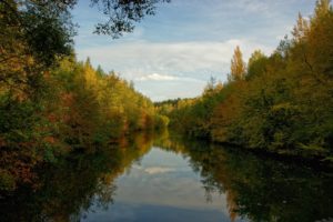 water, Landscapes, Nature, Forests
