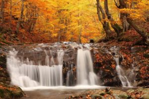 landscapes, Nature, Waterfall, Rivers, Trees, Forest, Autumn, Fall, Seasons, Leaves, Colors