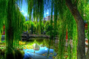 landscapes, Nature, Lakes, Asian, Oriental, Reflection, Trees, Green, Colors, Garden, Artistic