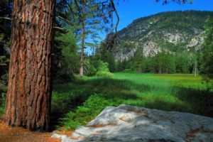 landscapes, Meadows, Canyon, California, National, Trail, Parks, Kings