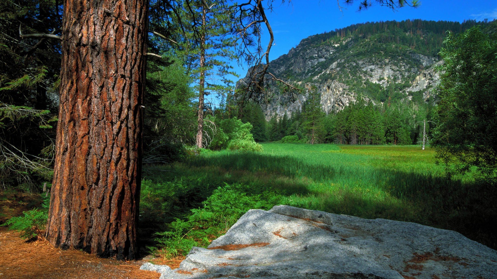 landscapes, Meadows, Canyon, California, National, Trail, Parks, Kings Wallpaper