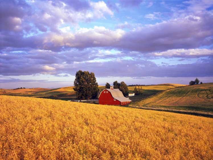 nature, Red, Barn, Washington HD Wallpaper Desktop Background